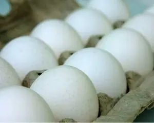 【ハングルちゃんブログ】殻が茶色の玉子しか見たことがありません