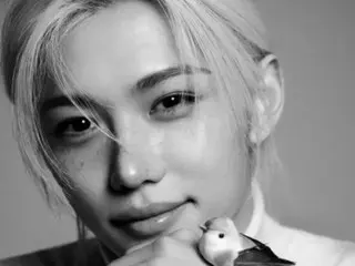 「Stray Kids」フィリックス、交通事故は骨折ではなく「神経の圧迫」