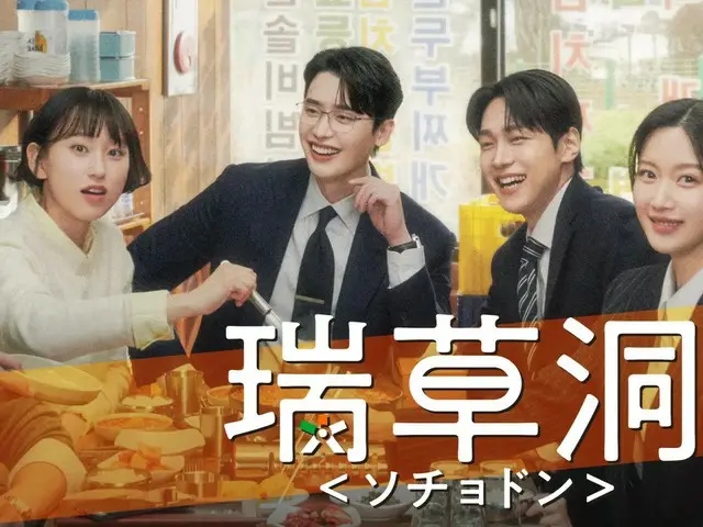 【瑞草洞＜ソチョドン＞】複雑さのない安心して見ていられる弁護士ドラマ 〜 ”あんてな＠韓国ドラマ（韓流男子）“の ❤️韓ドラショートレビュー❤️