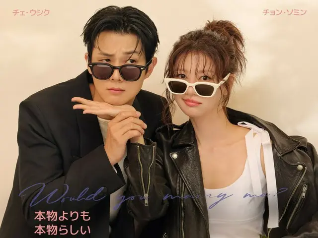 【私と結婚してくれますか？】推しのチョン・ソミンの新作ドラマをチェック〜共演がチェ・ウシクとかもうこの時点でコメディで　”あんてな＠韓国ドラマ（韓流男子）“の　❤️韓ドラショートレビュー❤️