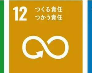 マイナビ TGC 2021 S/S  櫻坂46、JO1ら豪華アーティストがステージを盛り上げる！話題のアーティスト平井 大も決定！竹内涼真、中条あやみ、笠松将、永野芽郁、広瀬アリスらも登場