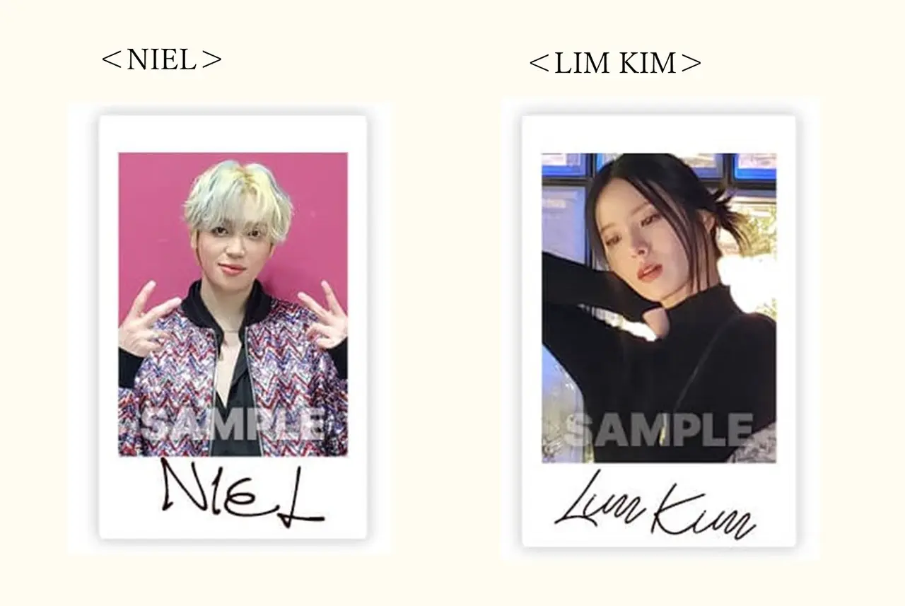 画像は制作中の為イメージです。