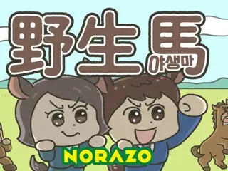 韓国出身の2人組アーティスト/スーパーエンターテイナーのNORAZO（ノラジョ）が、日本語バージョン楽曲4曲目となる「野生馬 (JP Ver.)」をリリース＆リリックビデオ公開！