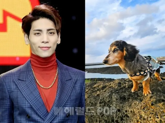 「SHINee」故ジョンヒョンさんの愛犬、虹の橋を渡った…「おかげでたくさん笑って頑張れた」