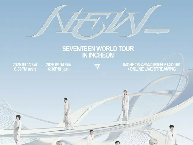 「SEVENTEEN」、13日仁川公演で客席に火花が散る事故…「治療手続きを積極的に支援」