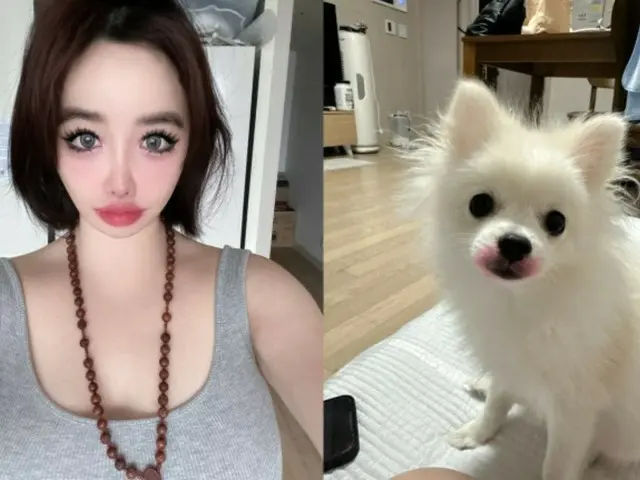 BOM（2NE1）、ヤン・ヒョンソクへの訴状に電話番号や天文学的金額…さらに口紅をした愛犬公開まで“心配ing”