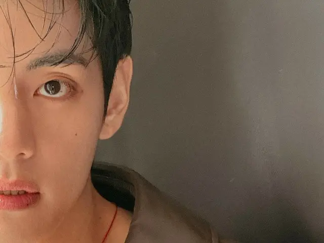 「BTS」V、雰囲気ある秋の男に…除隊後に男性美爆発