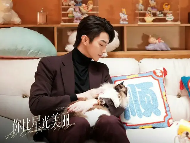 ≪中華ドラマNOW≫「星より輝く君へ」25話、星辰と韓廷が危機を脱する＝あらすじ・ネタバレ