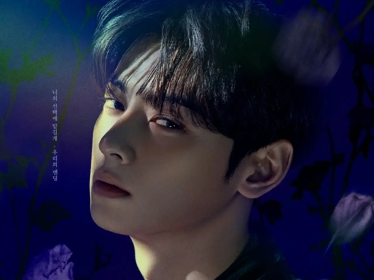CHA EUN WOO PHOTOCARD POSTER 2025 VR CONCERT : MEMORIES IN