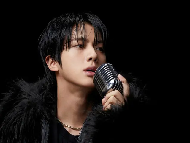 「BTS」JINの「Don't Say You Love Me」、心をつかむ最高の英語曲1位に